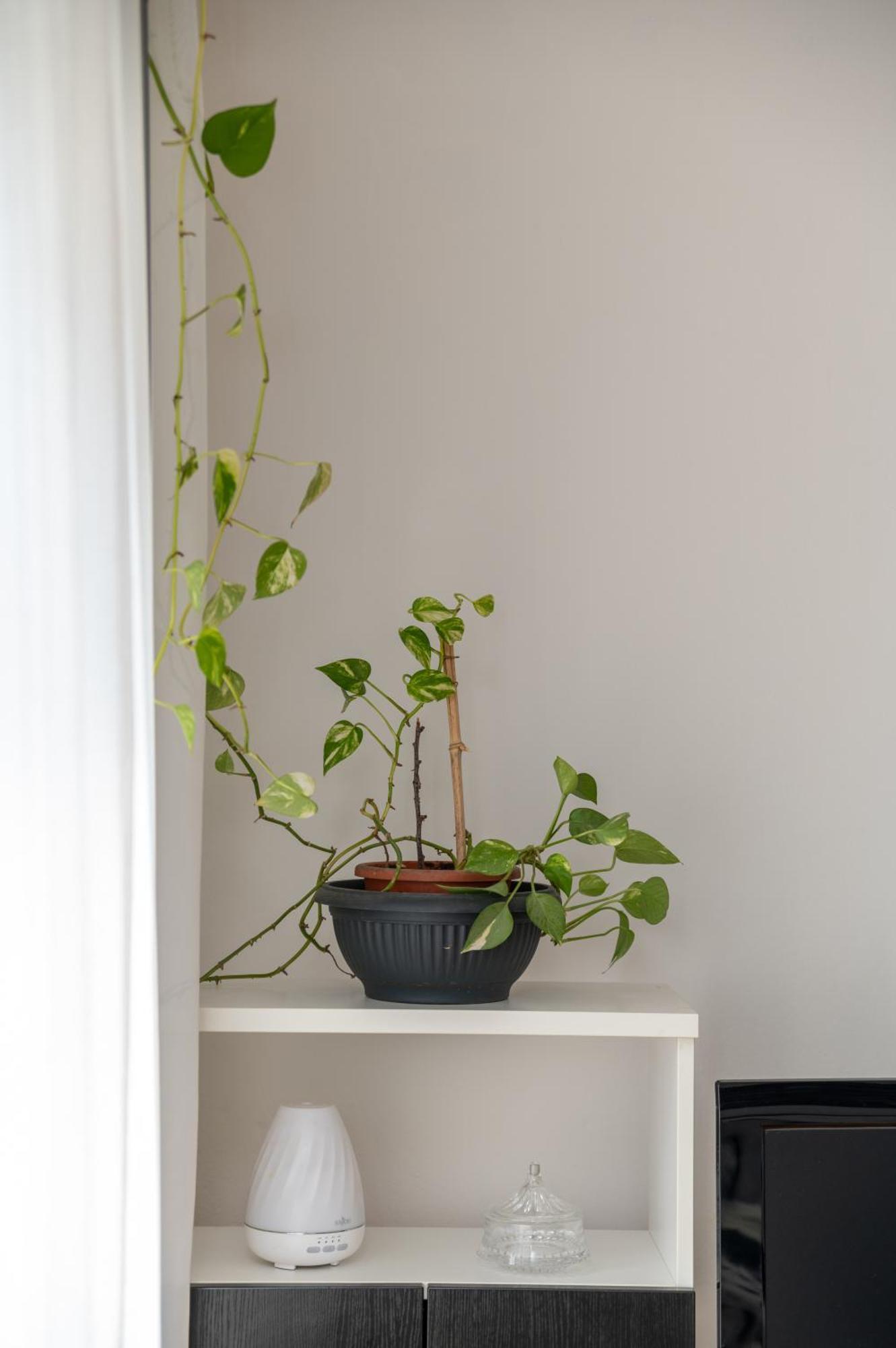 Apartman Milijana Fažana Exteriör bild
